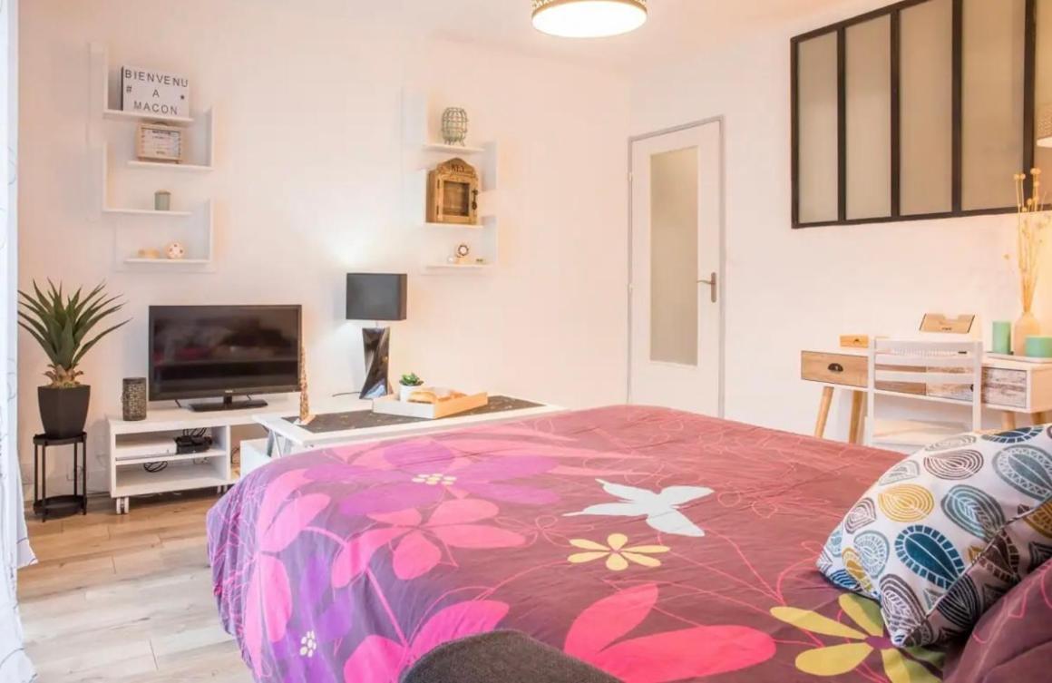 Charmant Appartement T1 Mâcon Exteriér fotografie